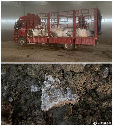 影子暗訪丨起底毒營養土產業鏈（下） 固廢處置資質成空文，工業污泥借水泥車“洗白”入市